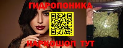 Альфа ПВП Гулькевичи