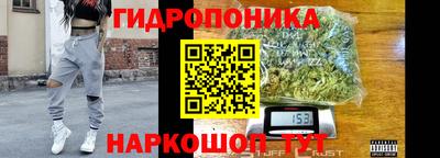 Альфа ПВП Гулькевичи