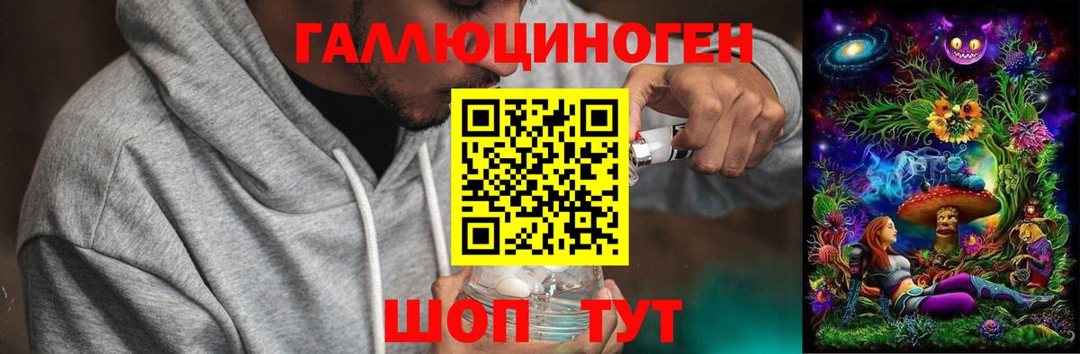 Псилоцибиновые грибы Psilocybe Ахтубинск
