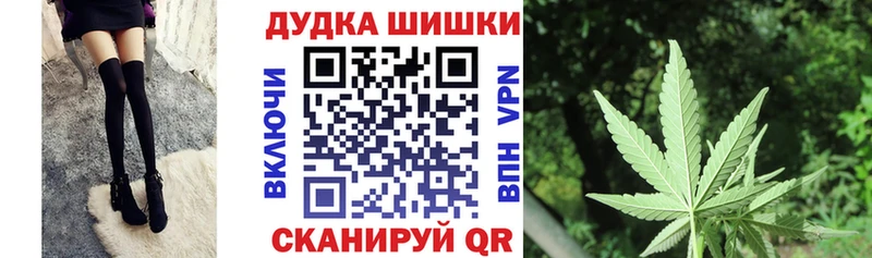 Бошки Шишки планчик  где найти наркотики  Ахтубинск 